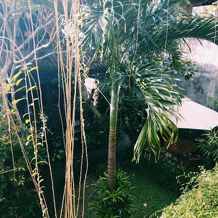 Nani House 2 Hotell Ubud Eksteriør bilde